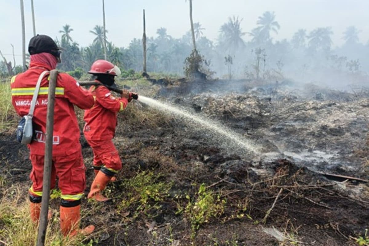 BMKG Peringatkan El Nino Picu Kekeringan dan Karhutla Semester Kedua 2026