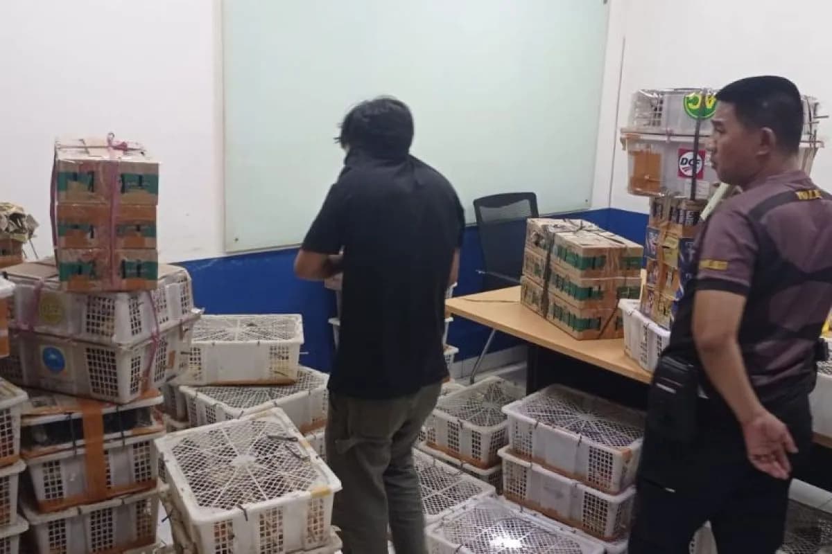 1.532 Burung Ilegal Digagalkan di Tol Lampung, Sebagian Termasuk Satwa Dilindungi