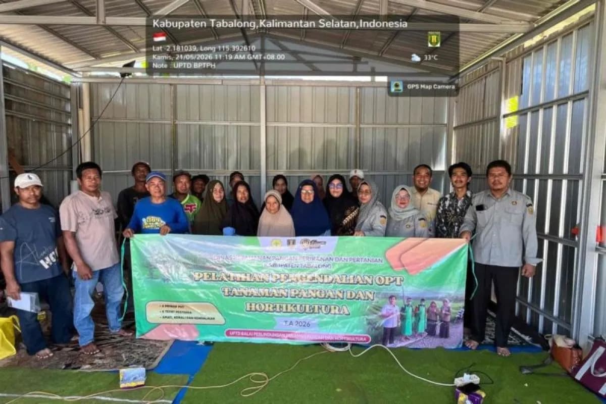 Petani Tabalong Terapkan Pengendalian Hama Terpadu Pascapelatihan BPTPH