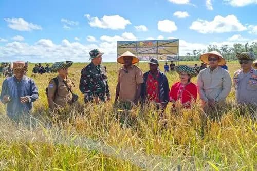 Film Pesta Babi Dinilai Sarat Propaganda, Pengamat Tegaskan PSN Papua Penting bagi Masa Depan Ketahanan Pangan