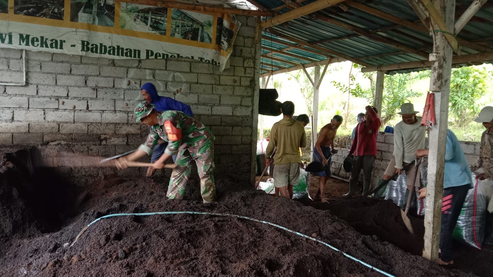 Babinsa Koramil Penebel Dampingi Kelompok Tani Produksi 10 Ton Pupuk Organik, Perkuat Pertanian Berkelanjutan