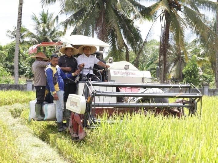 Luwu Timur Fokus Tingkatkan Produksi Pertanian melalui Penangkaran Benih Padi Unggul Impari 42
