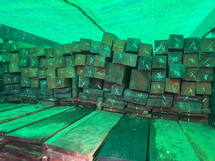 TNI AL Gagalkan Pengiriman Kayu Ulin Ilegal di Balikpapan, Sopir dan Barang Bukti Diamankan