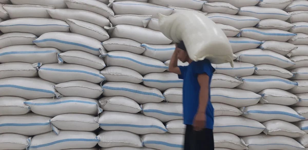 Hadapi El Nino “Godzilla”, Pemerintah Pastikan Stok Pangan Nasional Aman hingga 11 Bulan