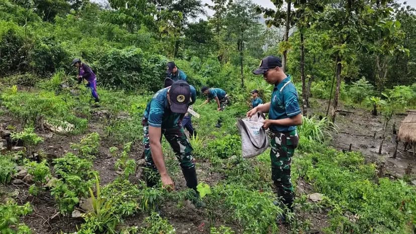 TNI dan Warga Perbatasan Panen Cabai Bersama, Perkuat Ketahanan Pangan di Malaka
