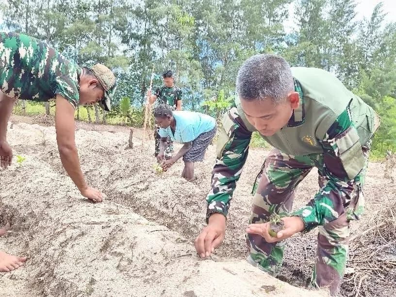Satgas TMMD Mimika Tanam Jagung Bersama Warga, Lahan Tidur Disulap Jadi Produktif