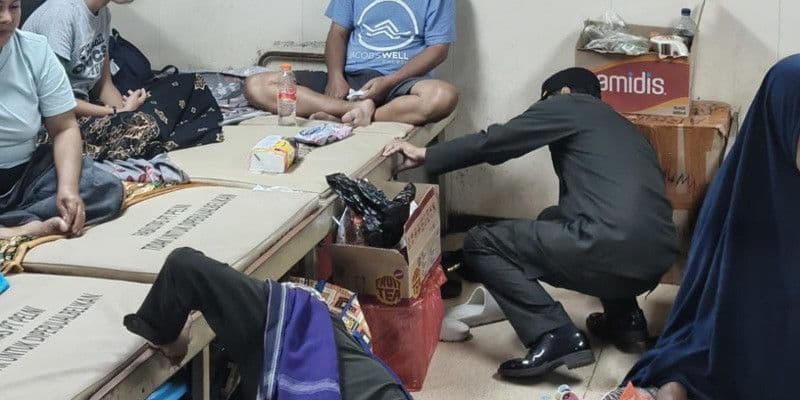 TNI AL Gagalkan Penyelundupan Satwa Dilindungi di Sorong, Enam Burung Kasturi Kepala Hitam Diselamatkan