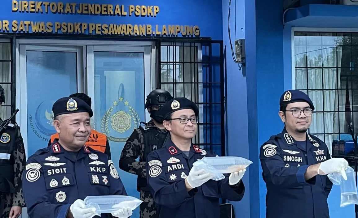 KKP Gagalkan Penyelundupan 31 Ribu Benih Lobster di Lampung, Selamatkan Potensi Kerugian Negara Rp4,6 Miliar