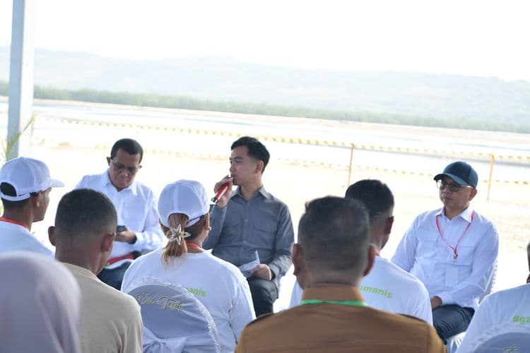Gibran Tinjau Industri Garam Rote Ndao, Dorong Lapangan Kerja dan Swasembada Garam