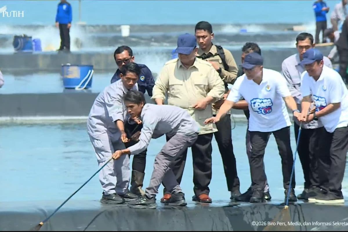 Prabowo Panen Raya Udang di Kebumen, Tinjau Tambak Budidaya Terintegrasi