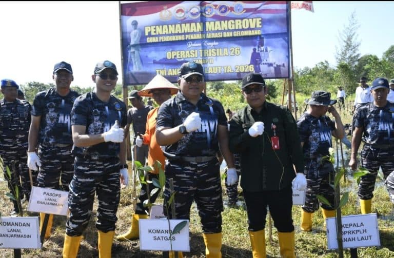 Operasi Trisila 26 Tahap II, TNI AL Tanam 1.000 Mangrove dan Bersihkan Pantai di Tanah Laut
