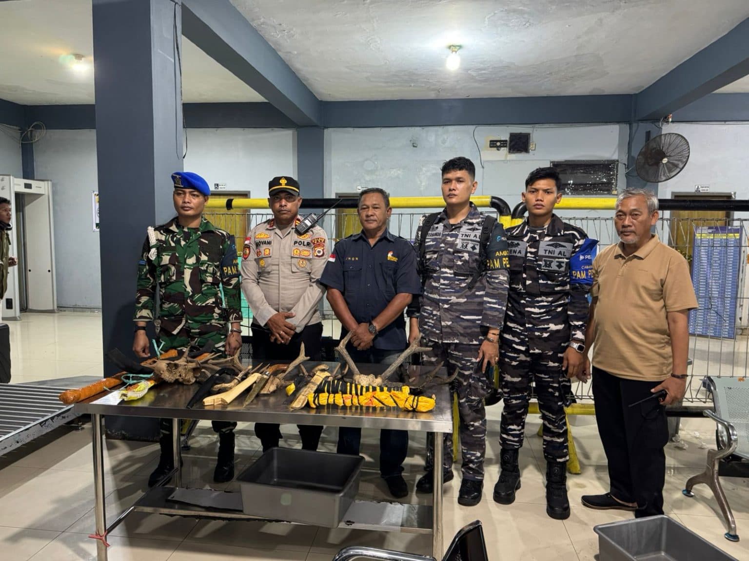 TNI AL Gagalkan Penyelundupan Tanduk Rusa dan Senjata di Pelabuhan Ambon