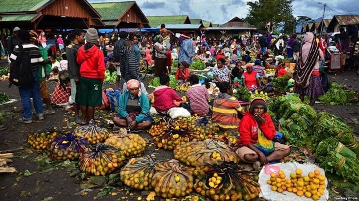 Pemerintah Tegaskan Pembukaan Akses Ekonomi Papua Fokus pada Pemberdayaan Masyarakat Lokal