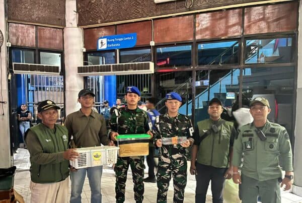 TNI AL dan BBKSDA Gagalkan Penyelundupan Satwa Dilindungi di KM Gunung Dempo