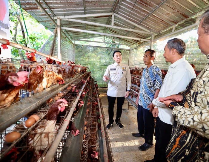 Ibas Dorong Peternakan Desa Jadi Penopang Ketahanan Pangan dan Program MBG