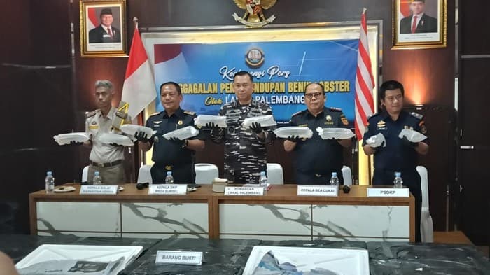TNI AL Palembang Gagalkan Penyelundupan 125.000 Benur Senilai Rp6 Miliar di Jambi, Dua Pelaku Kabur
