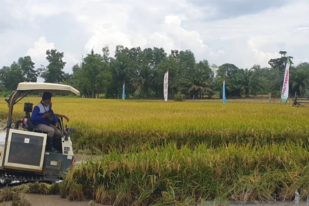Korem 044/Gapo Kembali Cetak Sawah Rakyat di Sumsel, Perkuat Ketahanan Pangan Nasional