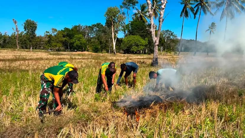 Yonarmed 12 Kostrad Bantu Warga Perbatasan Buka Lahan Pertanian, Perkuat Ketahanan Pangan di Belu