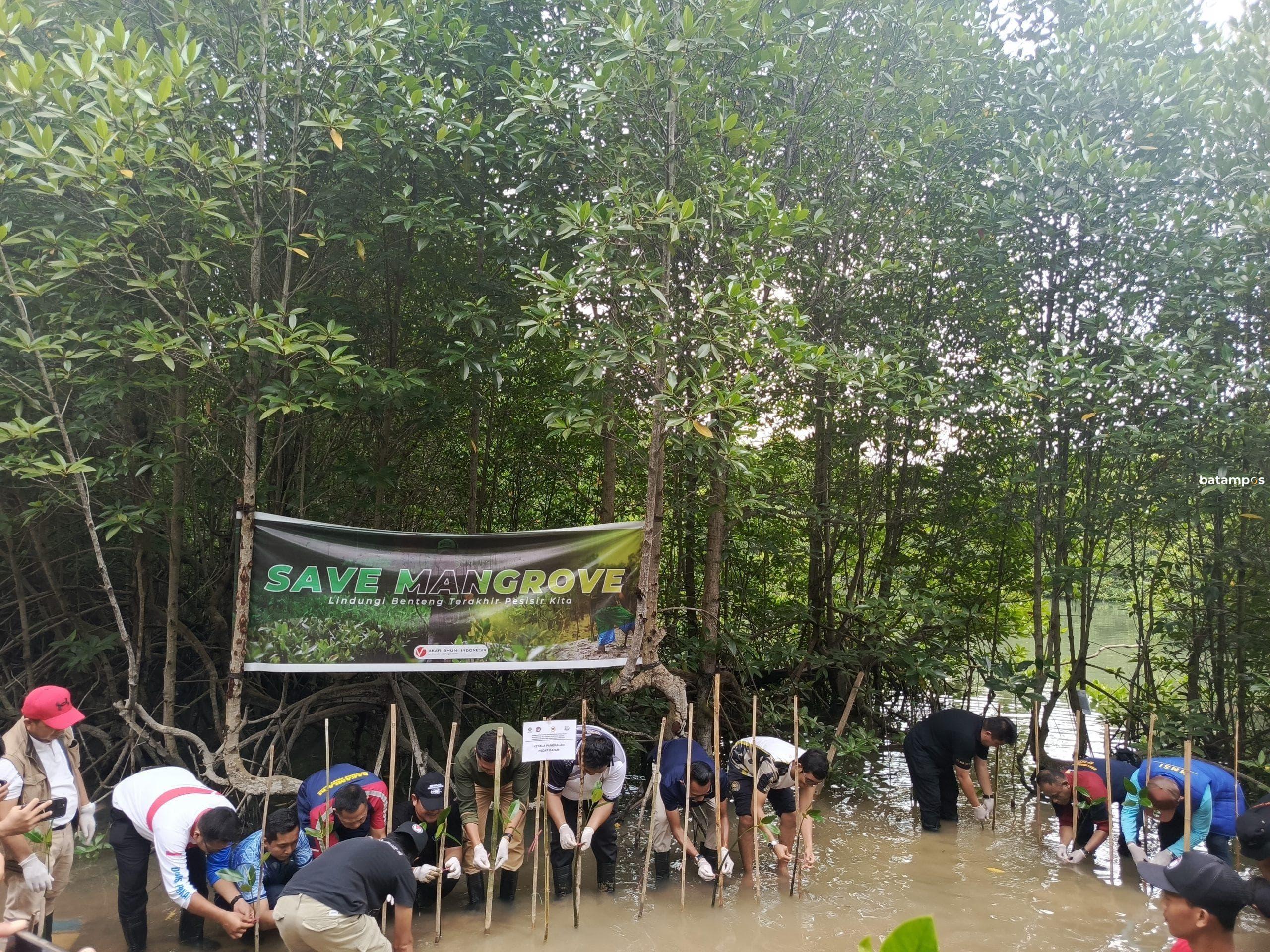 Pemerintah Luncurkan Desa Mandiri Peduli Mangrove, Perkuat Pemberdayaan Masyarakat Pesisir dan Ketahanan Ekosistem