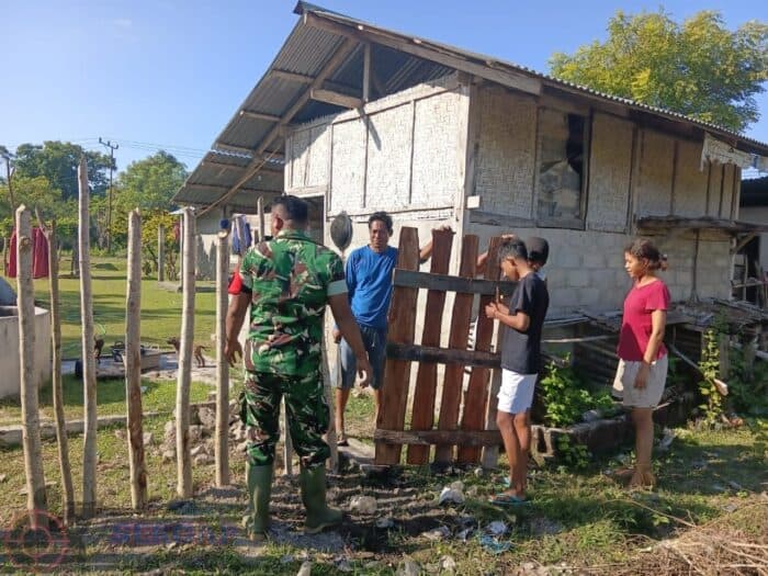 Babinsa Koramil Wulla Waijelu Gotong Royong Pasang Pagar Lahan Pertanian, Dukung Ketahanan Pangan di Sumba Timur