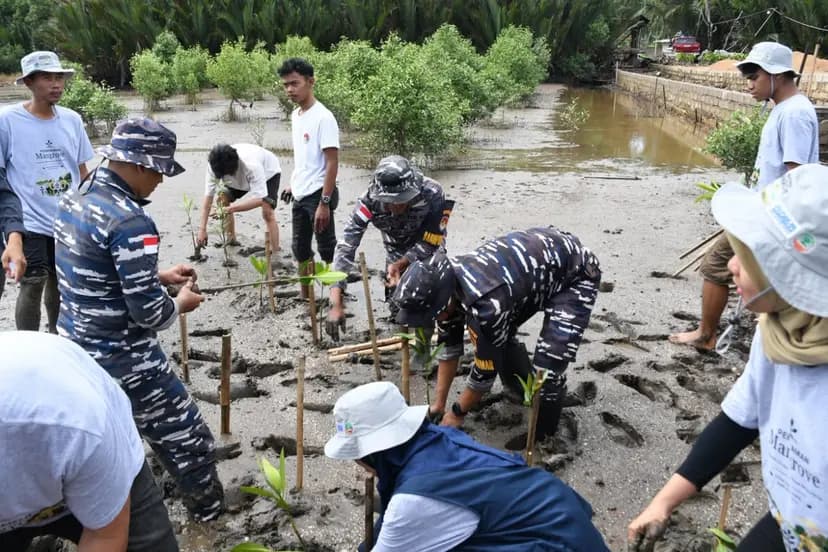 Kodaeral XII dan Masyarakat Tanam 10.000 Mangrove di Kubu Raya, Perkuat Ketahanan Pesisir dan Ekosistem Maritim
