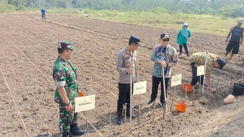 Babinsa Koramil 14/Minggir Dukung Ketahanan Pangan Melalui Penanaman Jagung