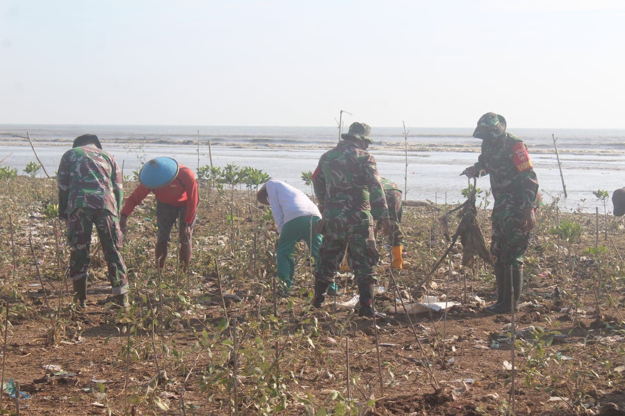 TNI dan Warga Gotong Royong Bersihkan Pantai Pengkolan, Perkuat Ketahanan Wilayah Pesisir Lamongan