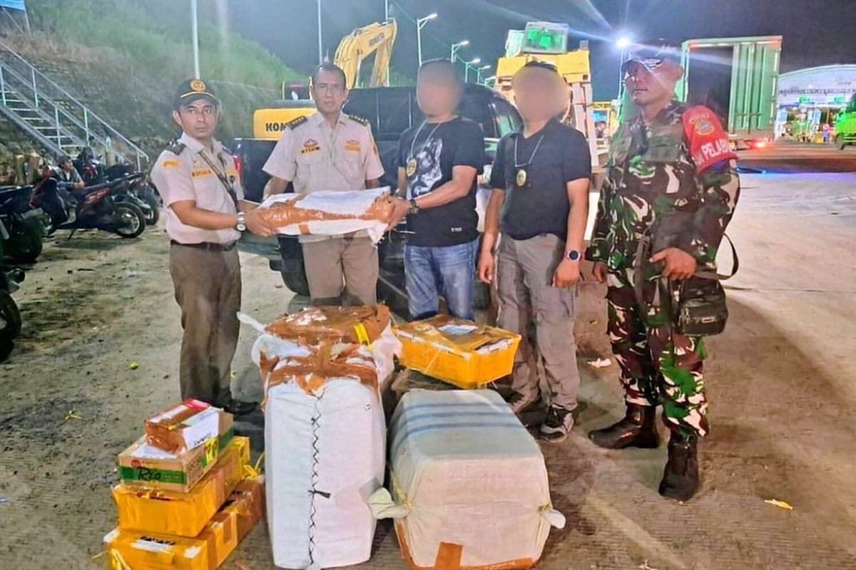 TNI AL Gagalkan Penyelundupan 445 Kulit Ular Piton dan 32 Kura-Kura di Bakauheni