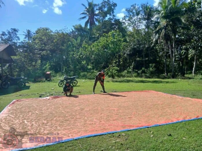 Babinsa Kodim 1601/Sumba Timur Dampingi Petani Jemur Padi, Perkuat Ketahanan Pangan di Desa Karita